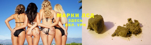 сатива Алзамай