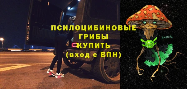 сатива Абаза