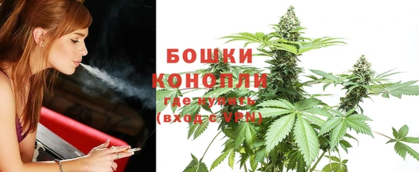 сатива Абаза
