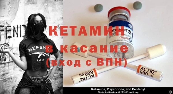 сатива Алзамай