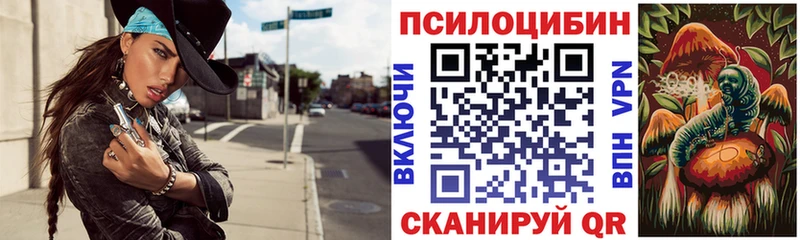 закладки  гидра ссылка  Псилоцибиновые грибы Cubensis  Зверево 